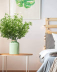 Artificial Shrubs for Outdoors - From Where -