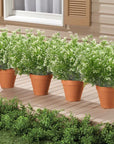 Artificial Shrubs for Outdoors - From Where -