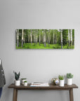 Aspen Trees in A Forest Wall Art - From Where -