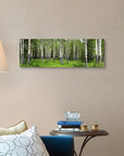 Aspen Trees in A Forest Wall Art - From Where -