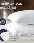 Beckham Hotel Bed Pillows (Set of 2) - From Where -