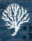 Blue Coral Nautical Wood Prints - From Where -