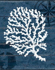 Blue Coral Nautical Wood Prints - From Where -
