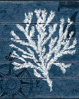 Blue Coral Nautical Wood Prints - From Where -