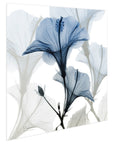 Blue Xray Floral Frameless Graphic Wall Art - From Where -