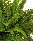 Boston Fern in White Planter Artificial Plant - From Where -