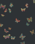 Butterflies Wallpaper - From Where -