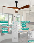 Ceiling Fan with Lights Remote Control - From Where -