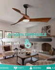 Ceiling Fan with Lights Remote Control - From Where -
