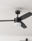 Conifer 42" Outdoor Ceiling Fan - From Where -
