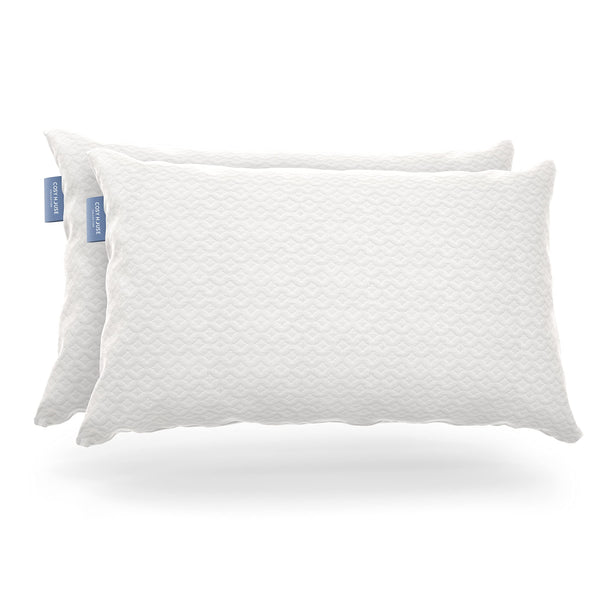 Cosy House Collection 2-Pack Luxury Rayon (Queen)