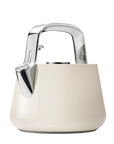 Stainless Steel Tea Kettle | Whistling Tea Kettle