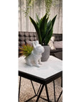 Desktop Succulent Artificial Plant - From Where -