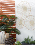 Dried Plant Plate Home Wall Decor - From Where -