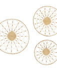 Dried Plant Plate Home Wall Decor - From Where -