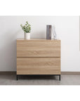 Elegant Decor File Cabinet - From Where -