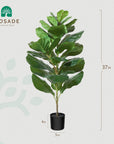 Fake Potted Ficus Lyrata Plant with Handmade Seagrass Basket - From Where -