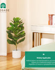 Fake Potted Ficus Lyrata Plant with Handmade Seagrass Basket - From Where -