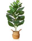 Fake Potted Ficus Lyrata Plant with Handmade Seagrass Basket - From Where -