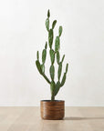 Faux Potted Cactus Plant 4'9" - From Where -