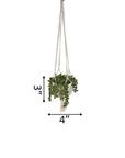Faux String of Pearl in 4" Macrame Hanging Ceramic Planter - From Where -
