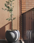 Fiberstone Modern Sphere Planter - From Where -