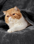 Fleece Blankets King Size Dark Grey - From Where -