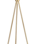 ENRICA 66 INCH H FLOOR LAMP- FLL4008A