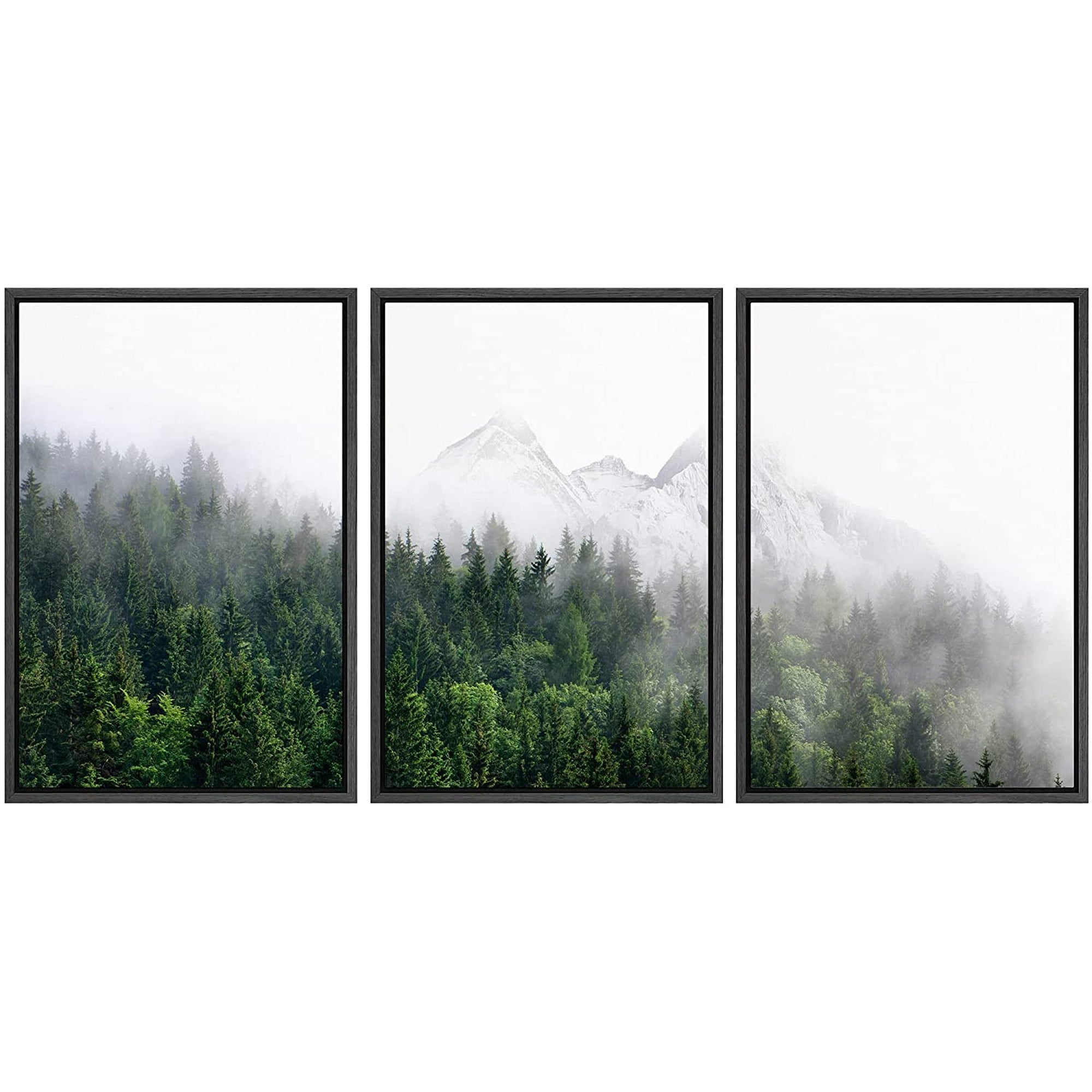 Fog Over The Mountain Forest Wall Art - From Where -