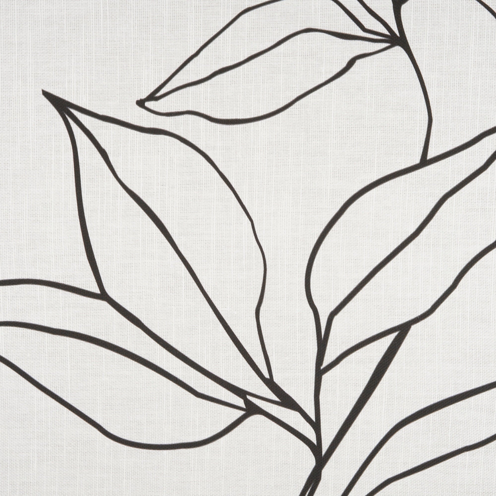 Framed Botanical Print - From Where -