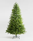 Fraser Fir Christmas Tree: Lit - From Where Finds -