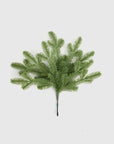 Fraser Fir Christmas Tree: Lit - From Where Finds -