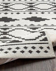 Gaaeel Woven Indoor Area Rugs - From Where -