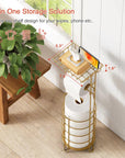 Gold Free Standing Toilet Paper Holder - From Where -