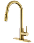 Gold Kitchen Faucet - From Where -