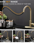 Gold Kitchen Faucet - From Where -