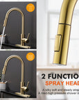 Gold Kitchen Faucet - From Where -