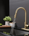 Gold Kitchen Faucet - From Where -