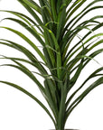 Grass Plant with Fiber Stone Pot - From Where -