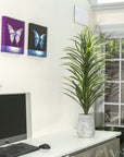 Grass Plant with Fiber Stone Pot - From Where -