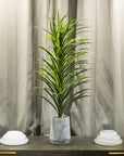 Grass Plant with Fiber Stone Pot - From Where -