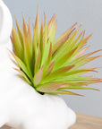 Green and White Artificial Succulent Plants - From Where -