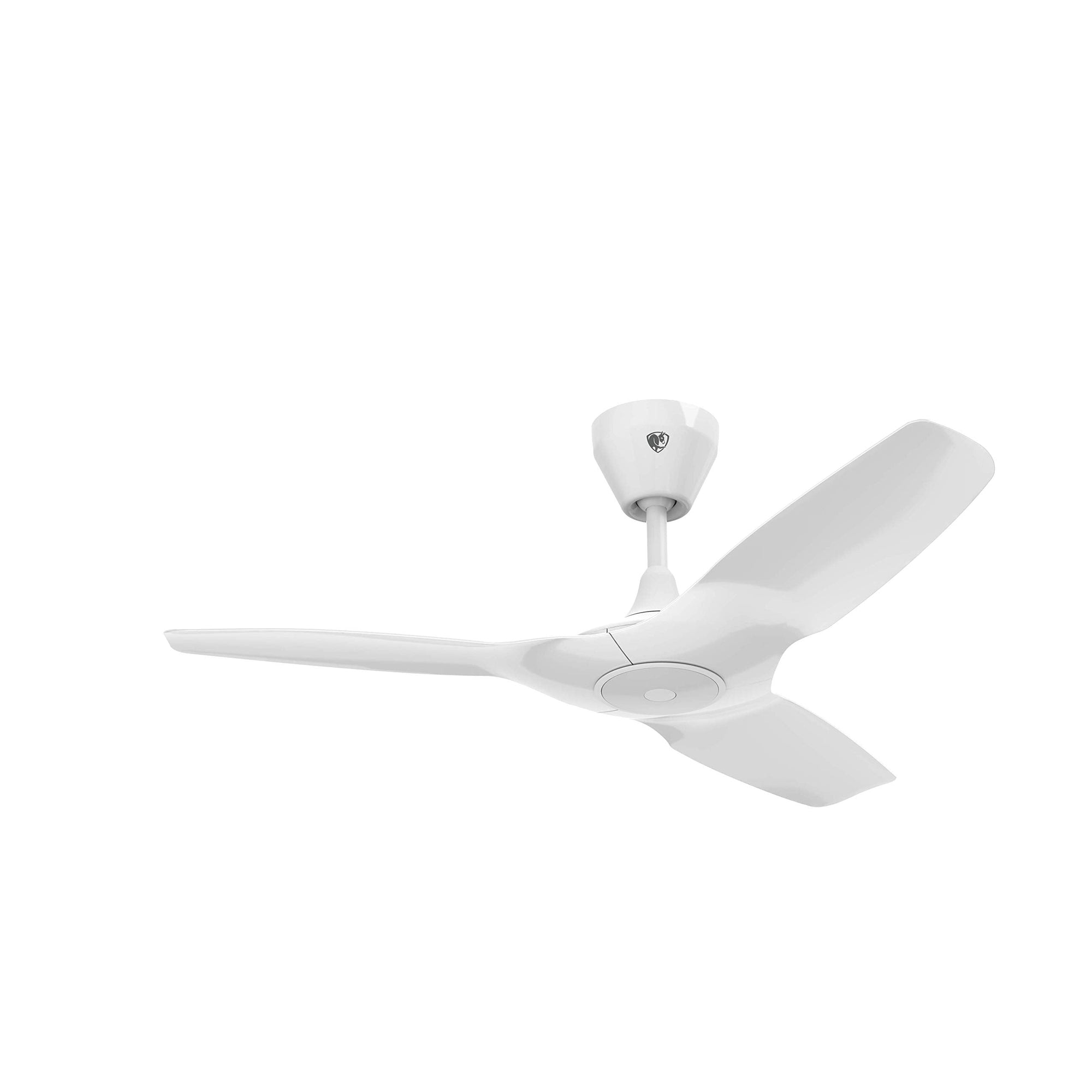 Haiku L 44" Ceiling Fan - From Where -