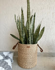 Handmade Sea Grass Planters - From Where -
