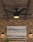 Indoor Ceiling Fan - From Where -