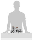 Iron Bicycle Art Figurine - From Where -