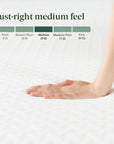 King Green Tea Essential Memory Foam Mattress - From Where Finds -