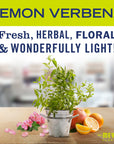 Lemon Verbena Hand Lotion - From Where -