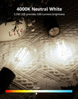 Lepro Dimmable LED Edison Bulbs - From Where -