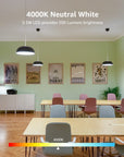 Lepro Dimmable LED Edison Bulbs - From Where -